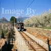 Historic Soller train.