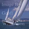 GW19355-50 = Scene ( Celestyna (No.14) = Contest 55CS + other Contest boats ) during the 2004 inaugural Mediterranean Contest Sailing Regatta - hosted by Fine Yachts and Real Club Nautico Palma and held in the Bay of Palma de Mallorca, Balearic Islands, Spain. 