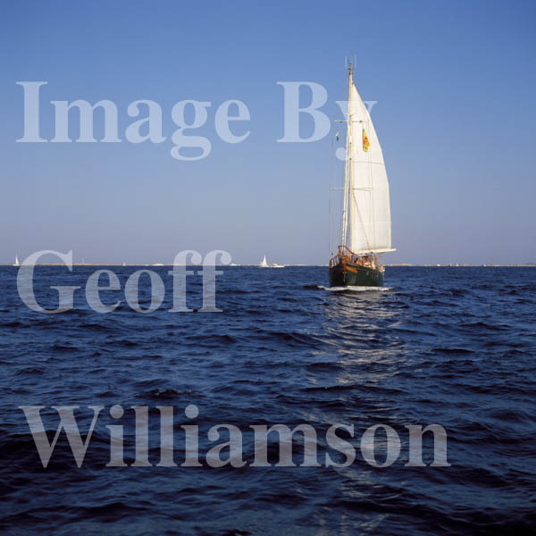 GW08950-32