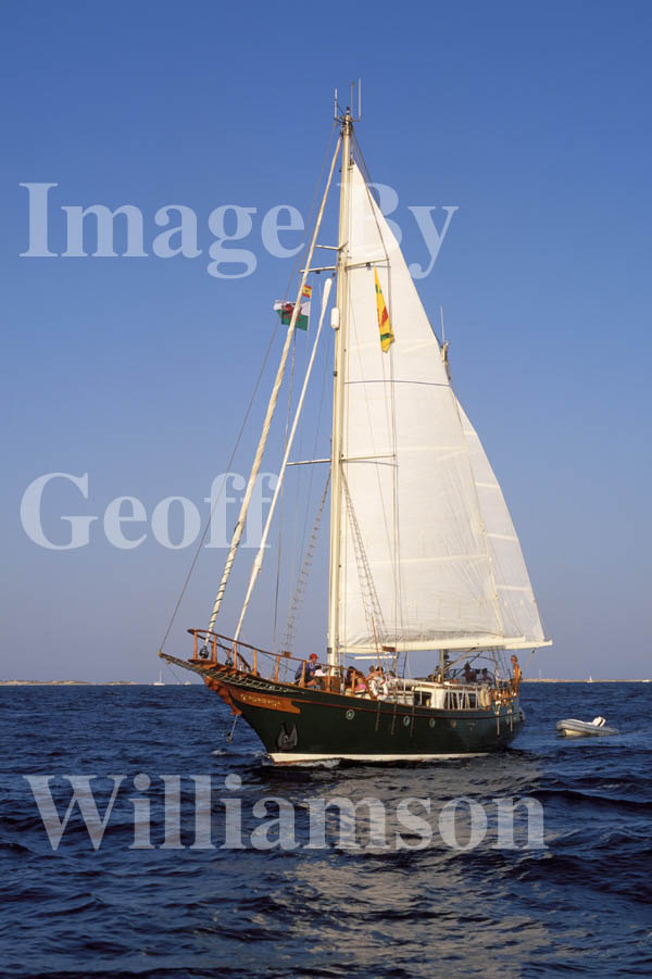 GW08955-32