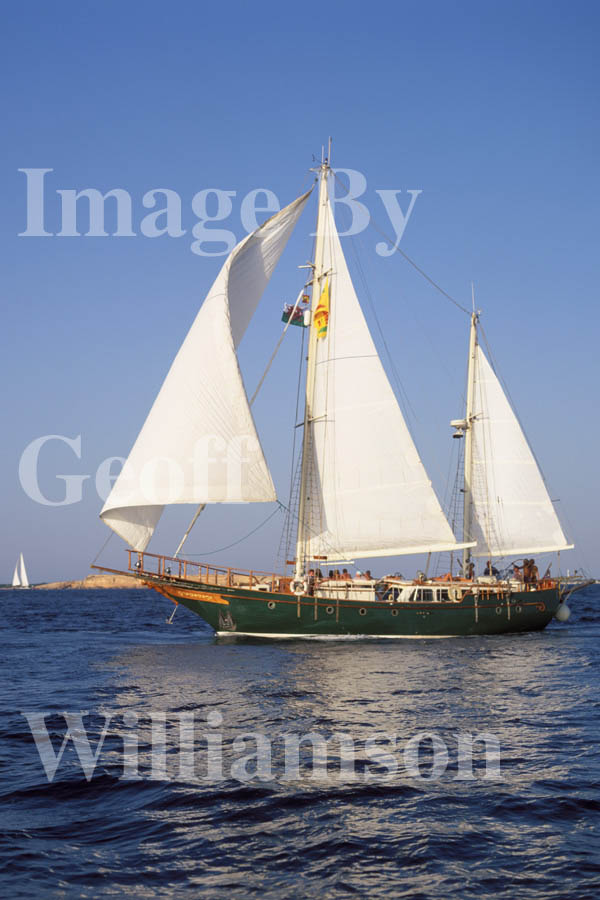 GW08980-32