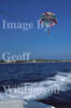 GW08575-32