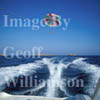 GW08625-32