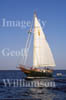 GW08955-32