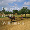 Traditional ploughing.