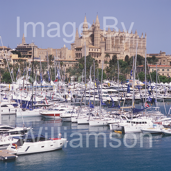 GW32605-60 = Panoramic view over Palma International Boat Show 2008 